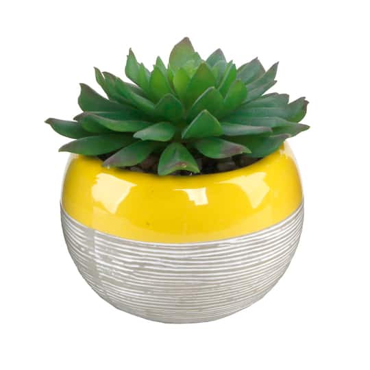 Flora Bunda&#xAE; Succulent In Two Tone Pattern Yellow Ceramic Pot